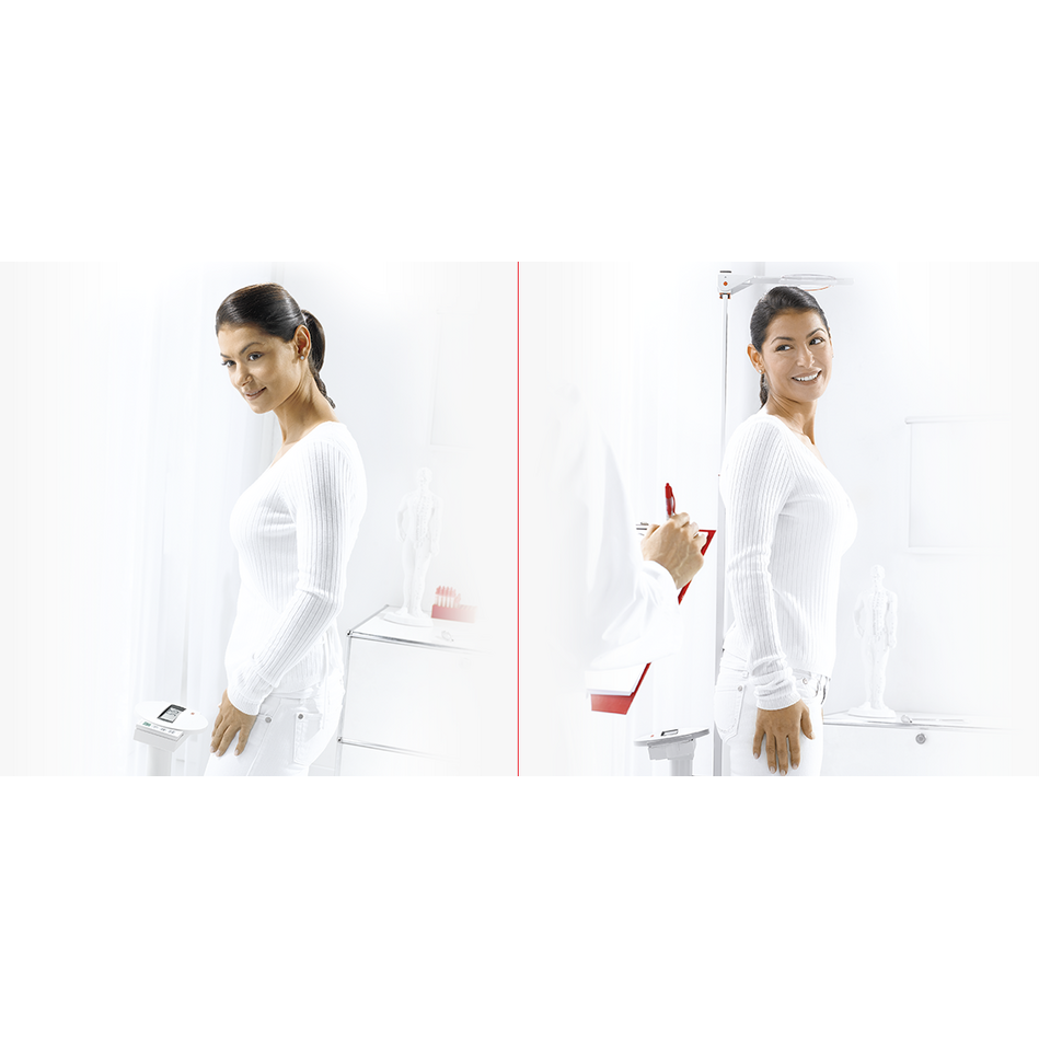 Seca 799 Class III Electronic Column Scale